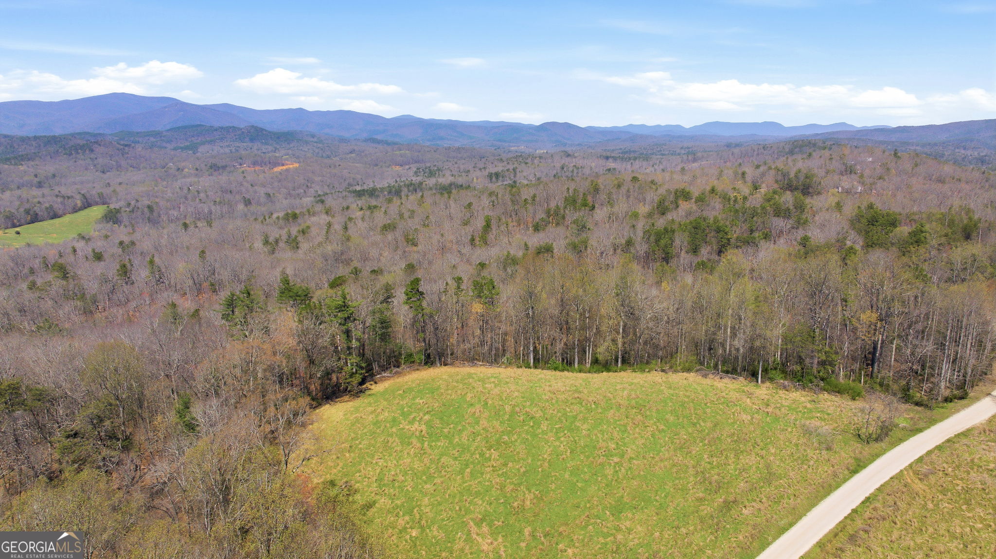 4034 Piedmont Orchard Road Clarkesville, GA 30523 - Photo 42 of 75