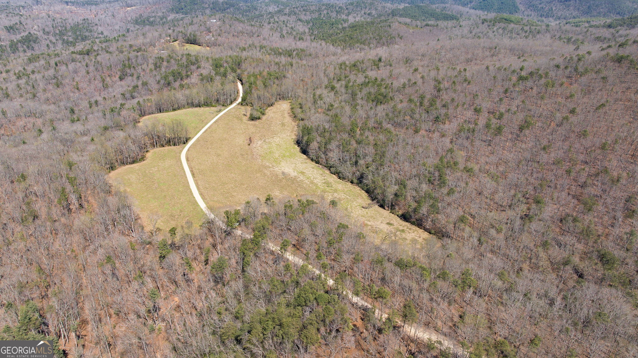 4034 Piedmont Orchard Road Clarkesville, GA 30523 - Photo 45 of 75