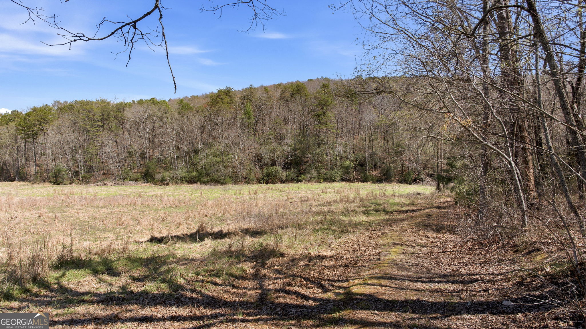 4034 Piedmont Orchard Road Clarkesville, GA 30523 - Photo 58 of 75