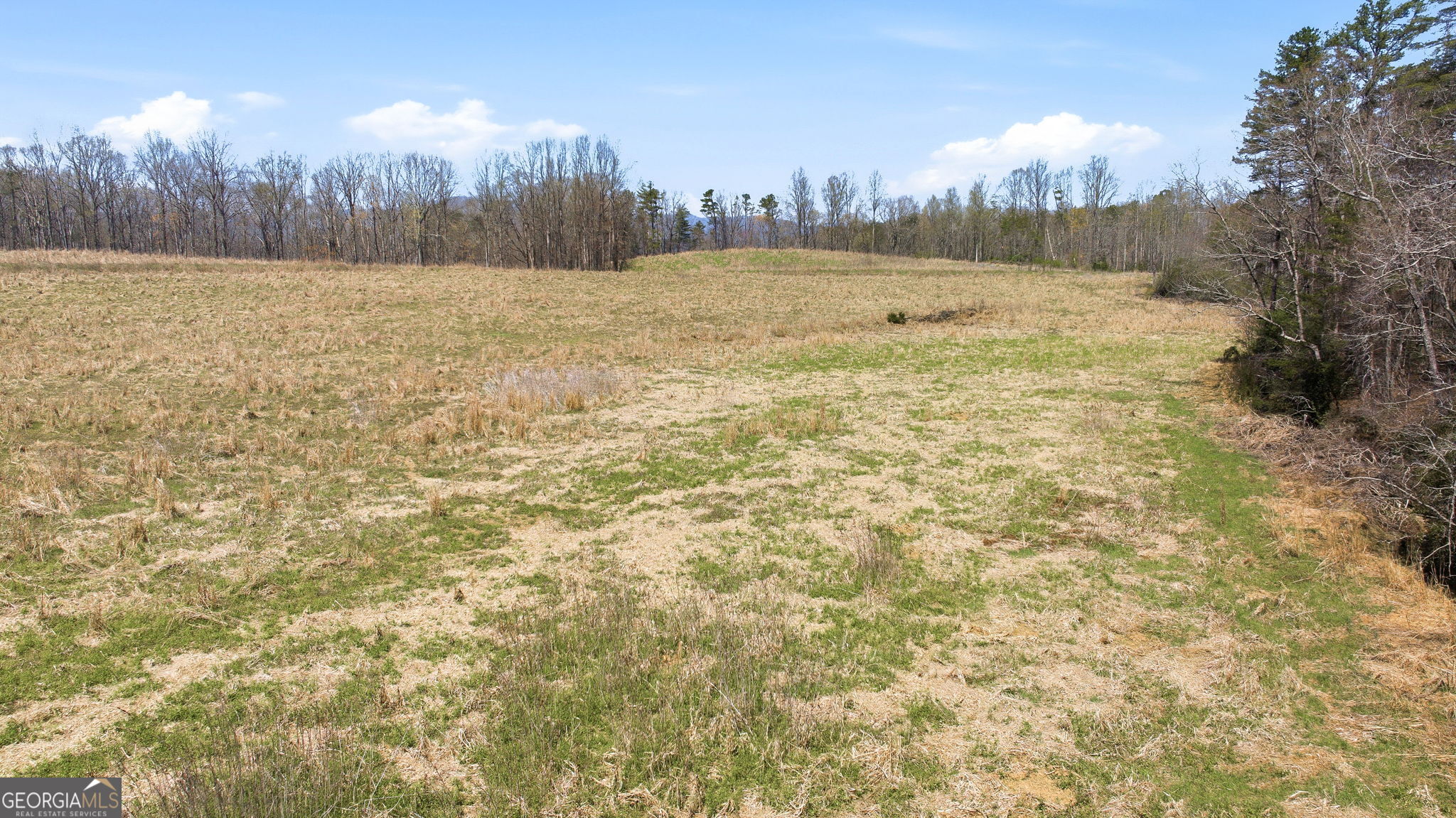 4034 Piedmont Orchard Road Clarkesville, GA 30523 - Photo 6 of 75