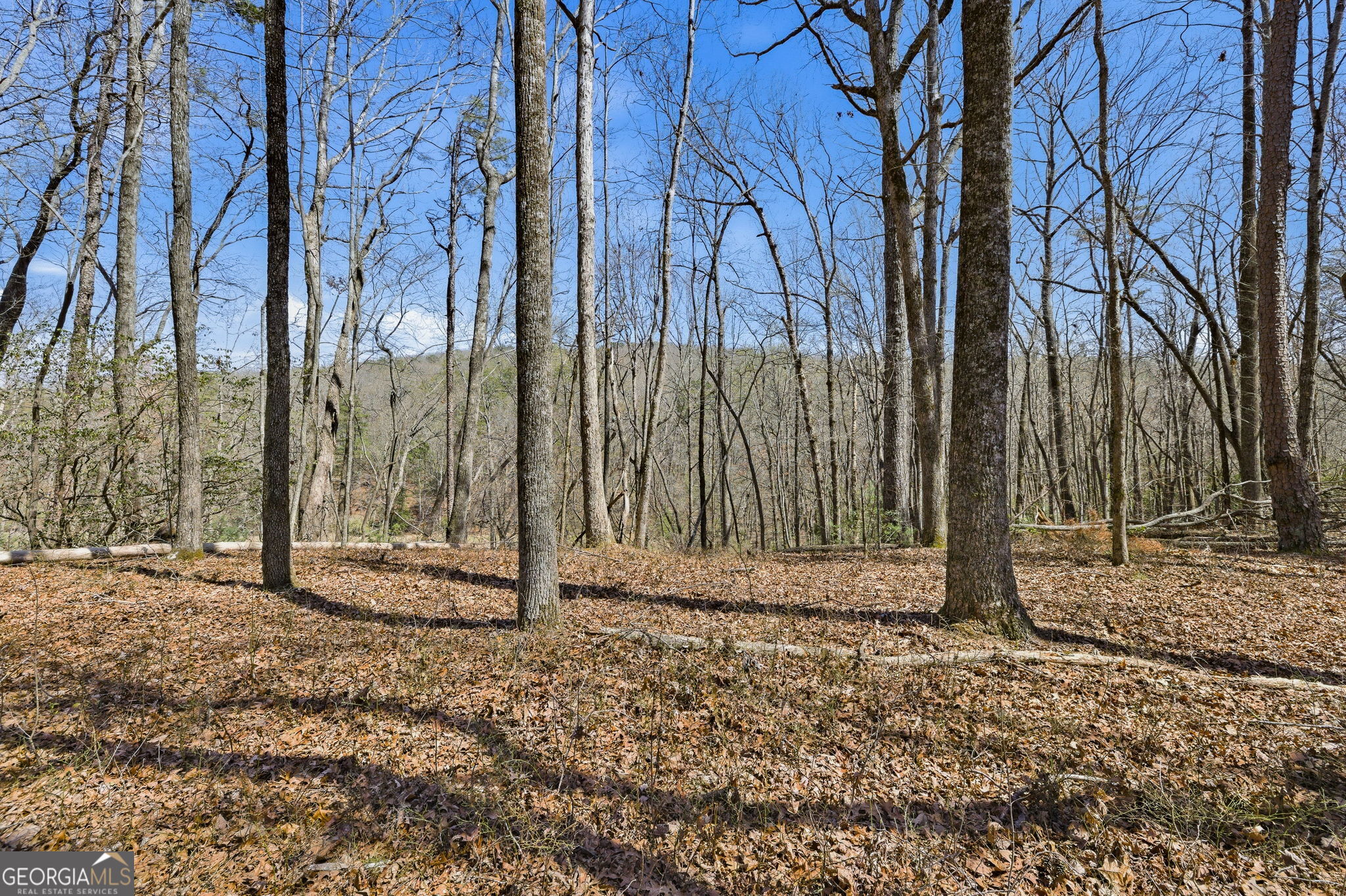 4034 Piedmont Orchard Road Clarkesville, GA 30523 - Photo 61 of 75