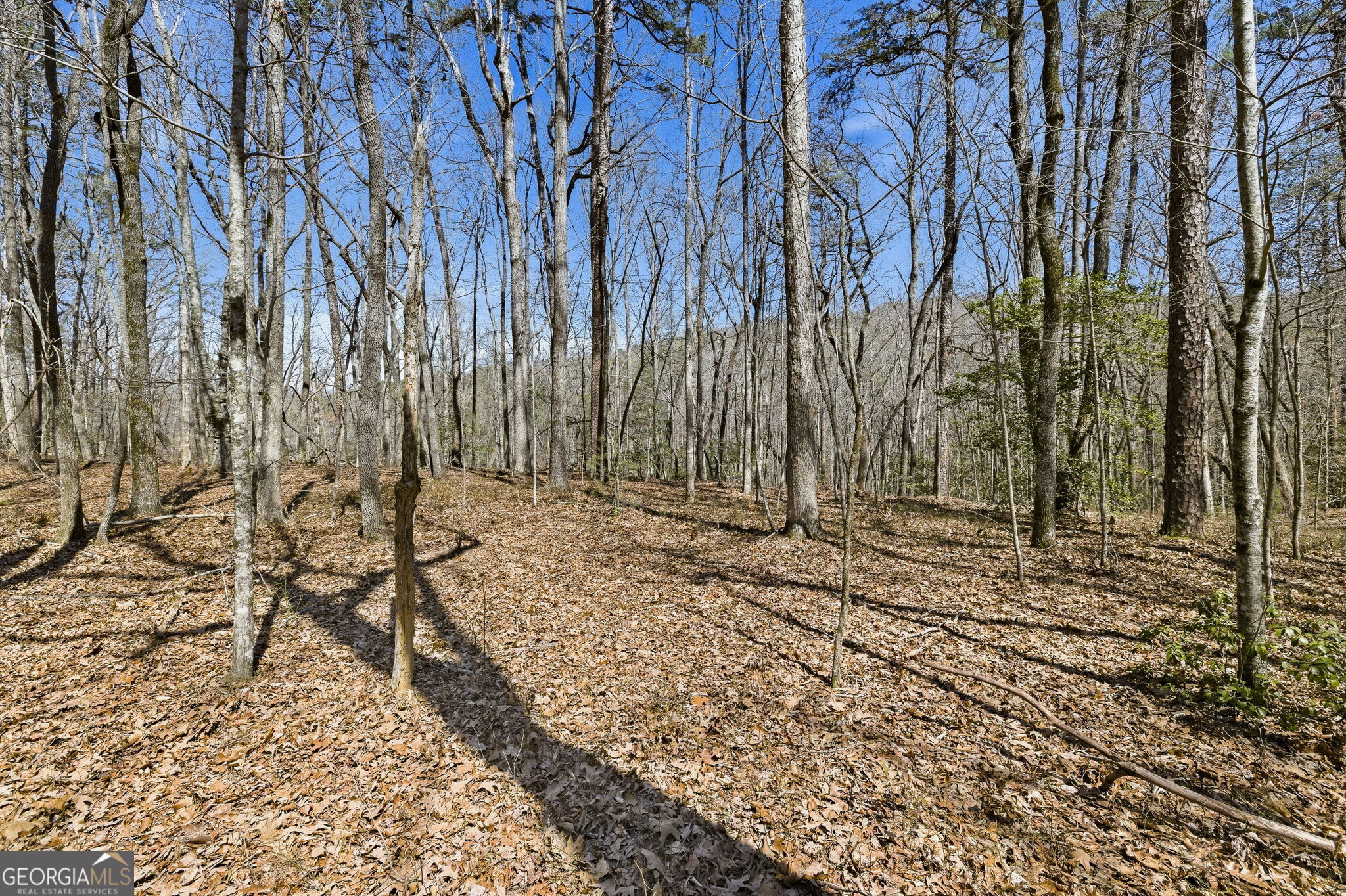 4034 Piedmont Orchard Road Clarkesville, GA 30523 - Photo 63 of 75