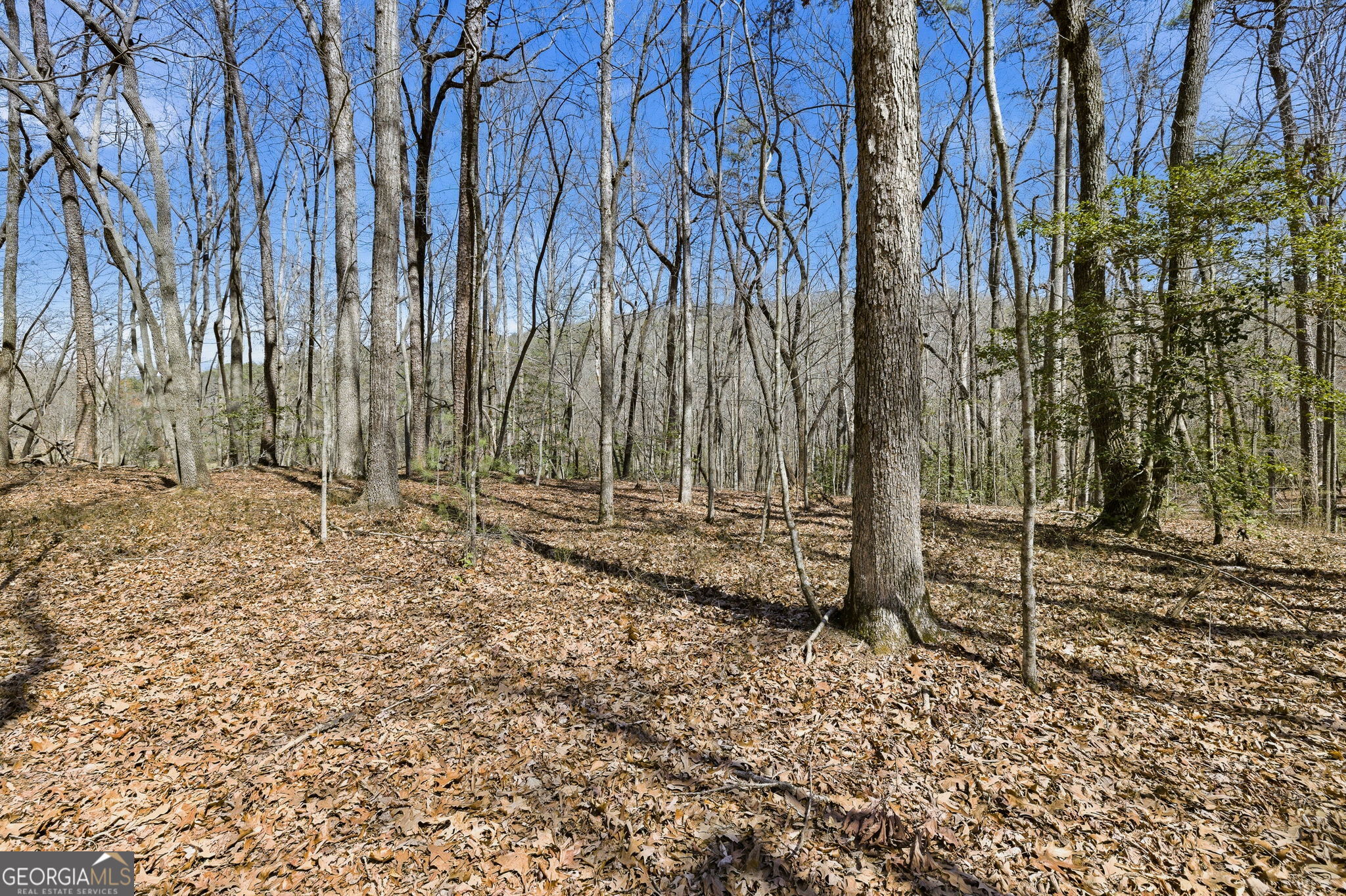 4034 Piedmont Orchard Road Clarkesville, GA 30523 - Photo 65 of 75