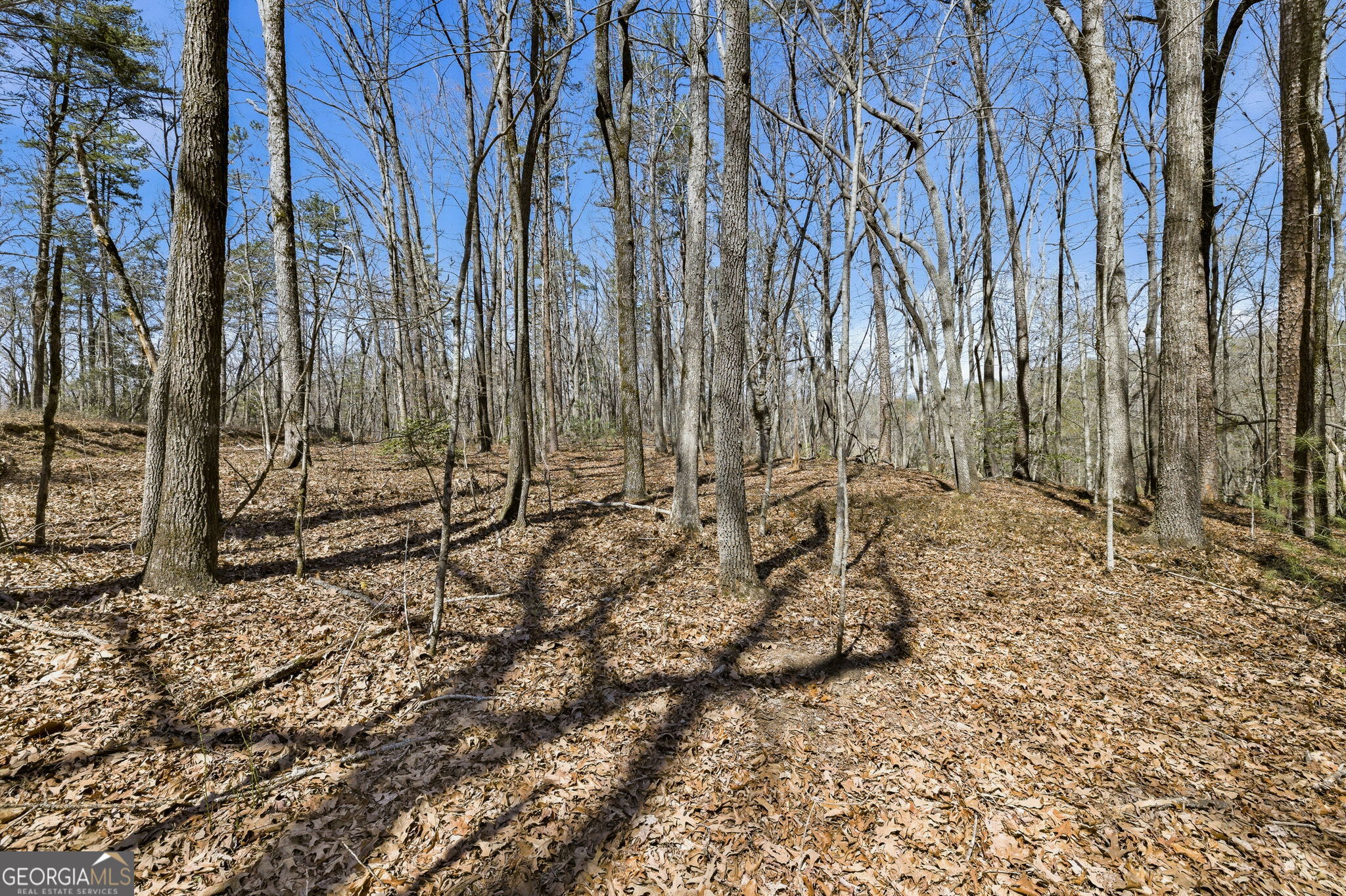 4034 Piedmont Orchard Road Clarkesville, GA 30523 - Photo 66 of 75