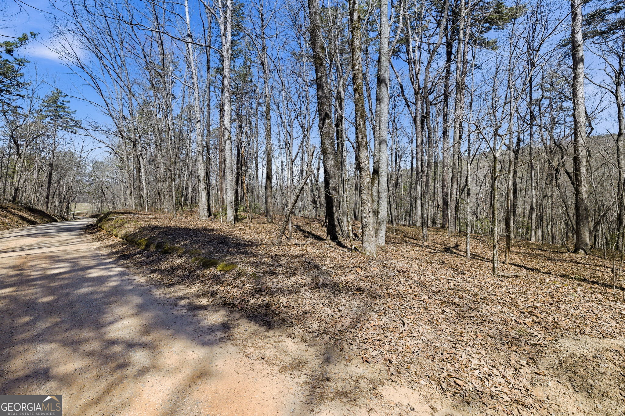 4034 Piedmont Orchard Road Clarkesville, GA 30523 - Photo 69 of 75