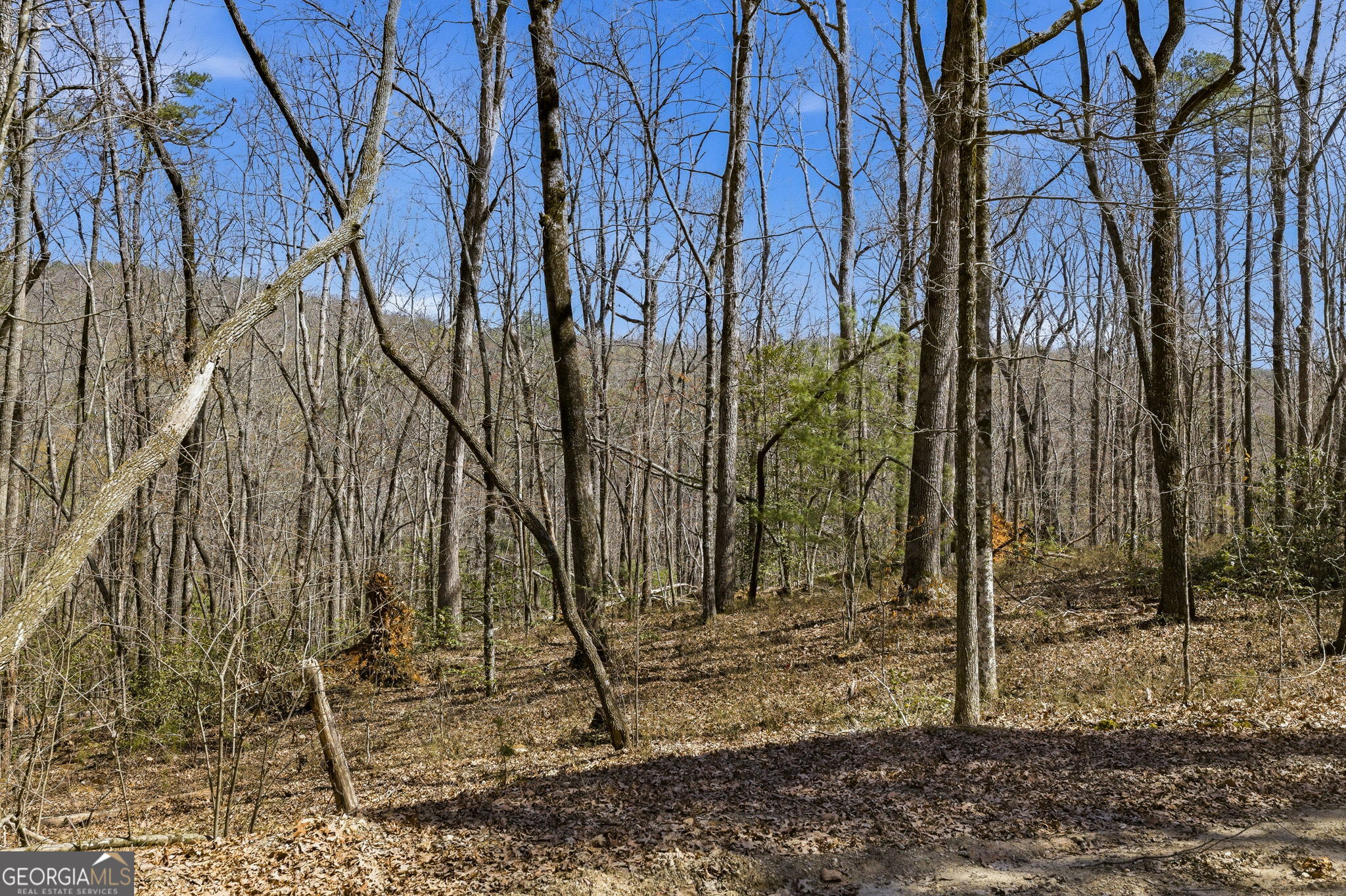 4034 Piedmont Orchard Road Clarkesville, GA 30523 - Photo 70 of 75