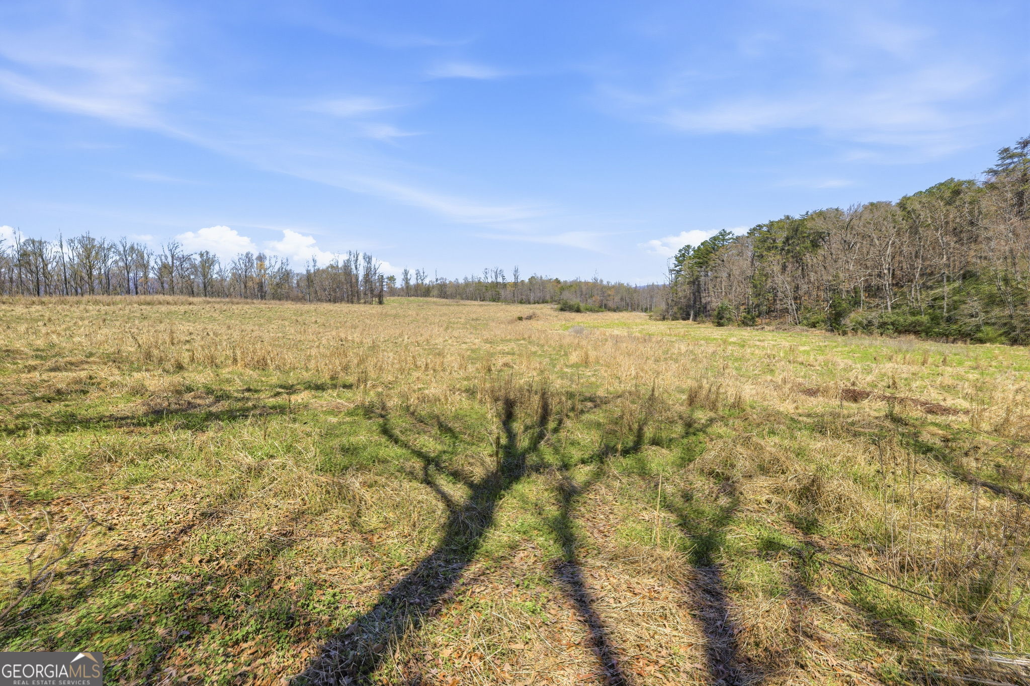 4034 Piedmont Orchard Road Clarkesville, GA 30523 - Photo 7 of 75