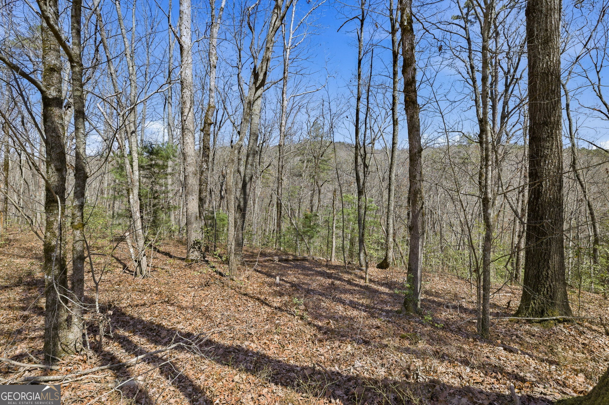 4034 Piedmont Orchard Road Clarkesville, GA 30523 - Photo 71 of 75