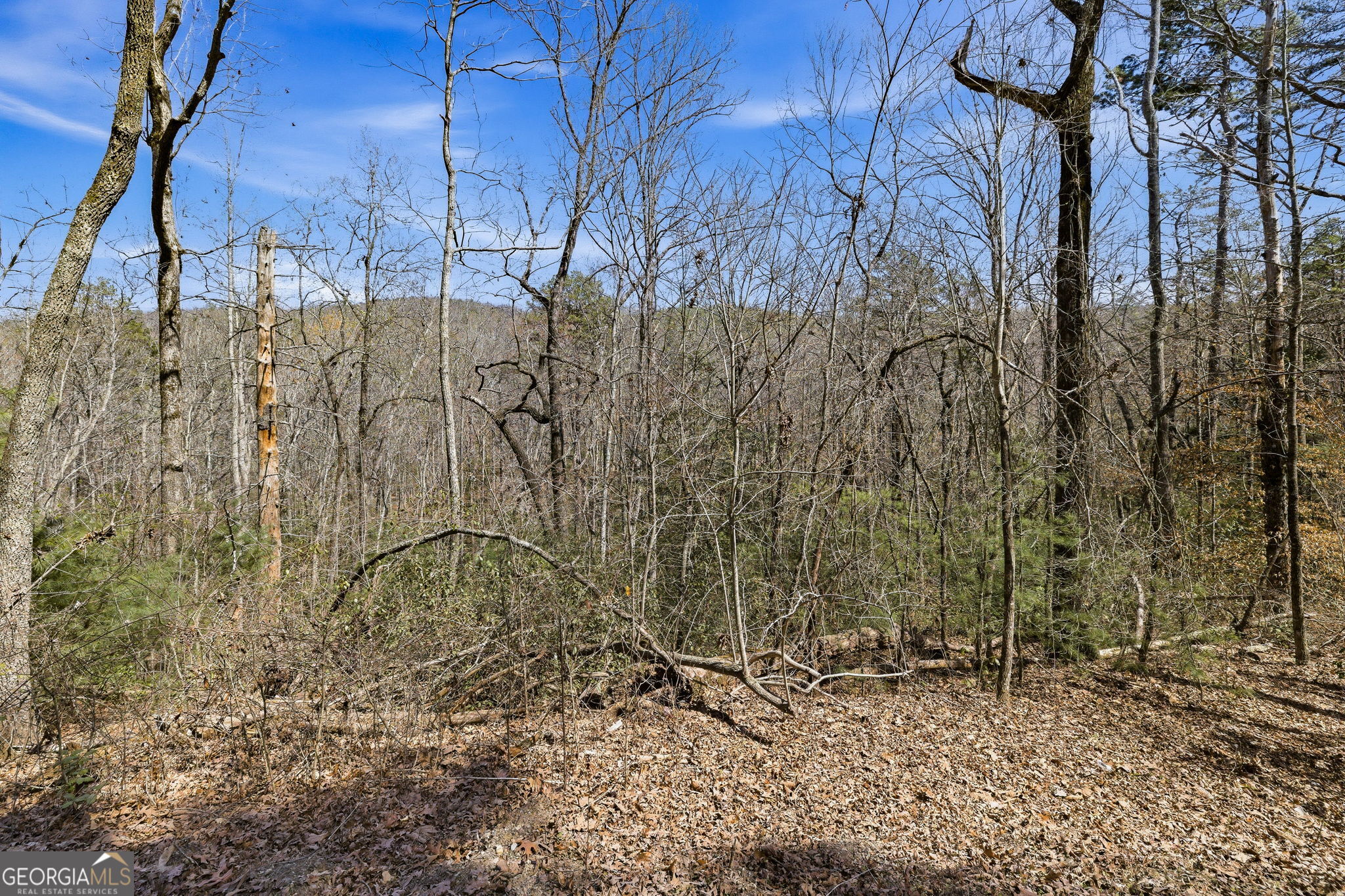 4034 Piedmont Orchard Road Clarkesville, GA 30523 - Photo 73 of 75
