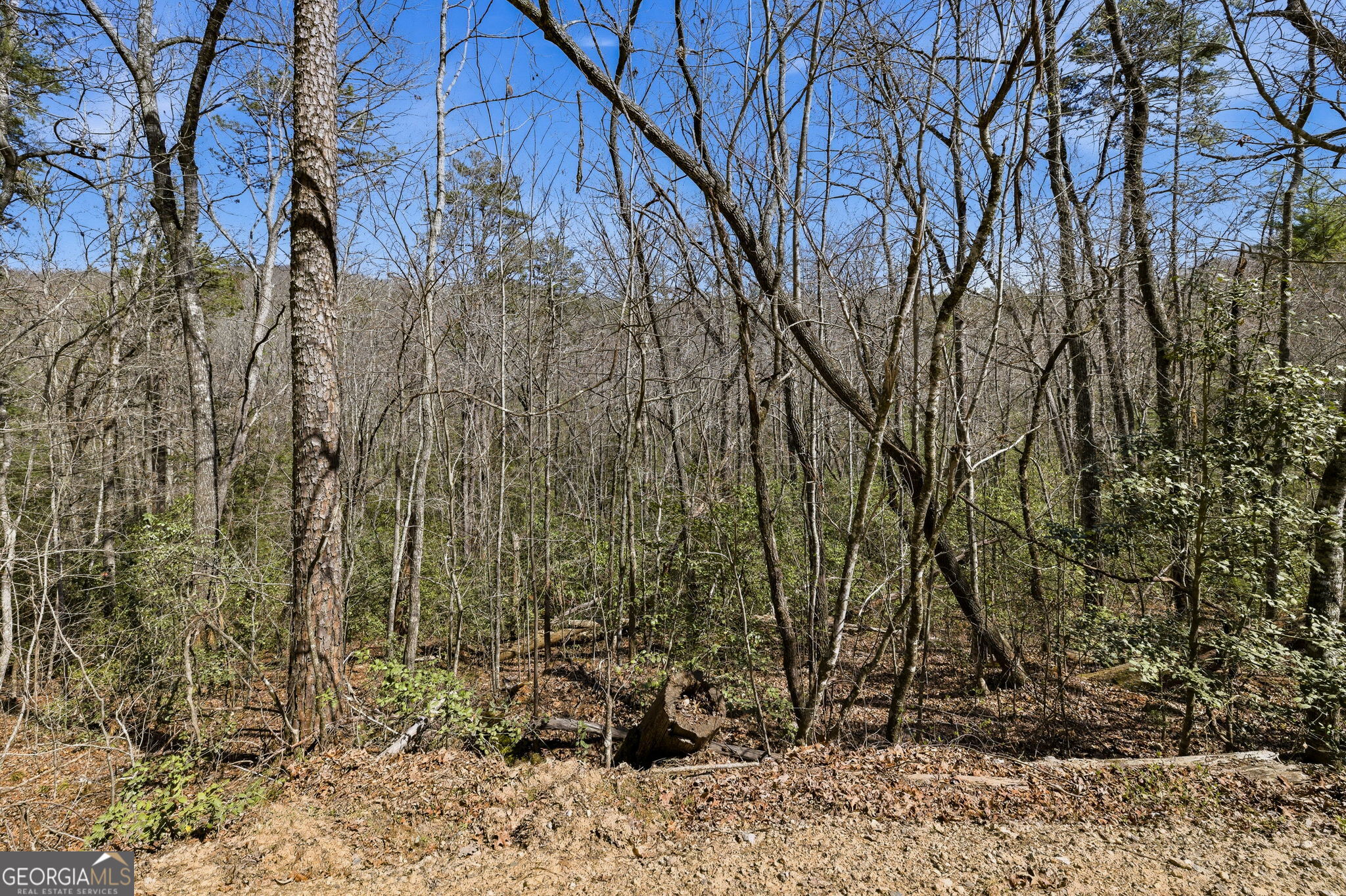 4034 Piedmont Orchard Road Clarkesville, GA 30523 - Photo 74 of 75