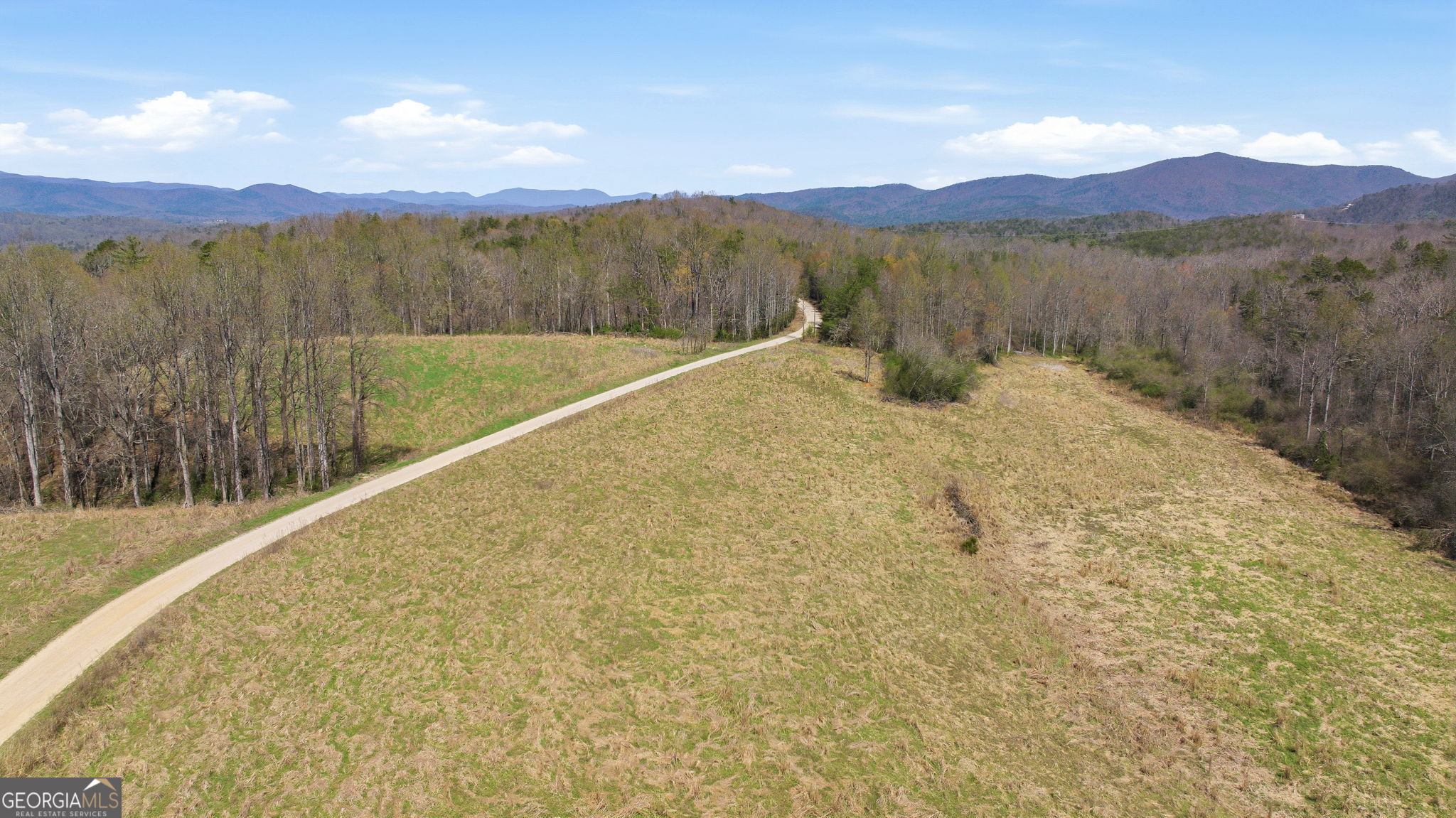 4034 Piedmont Orchard Road Clarkesville, GA 30523 - Photo 8 of 75