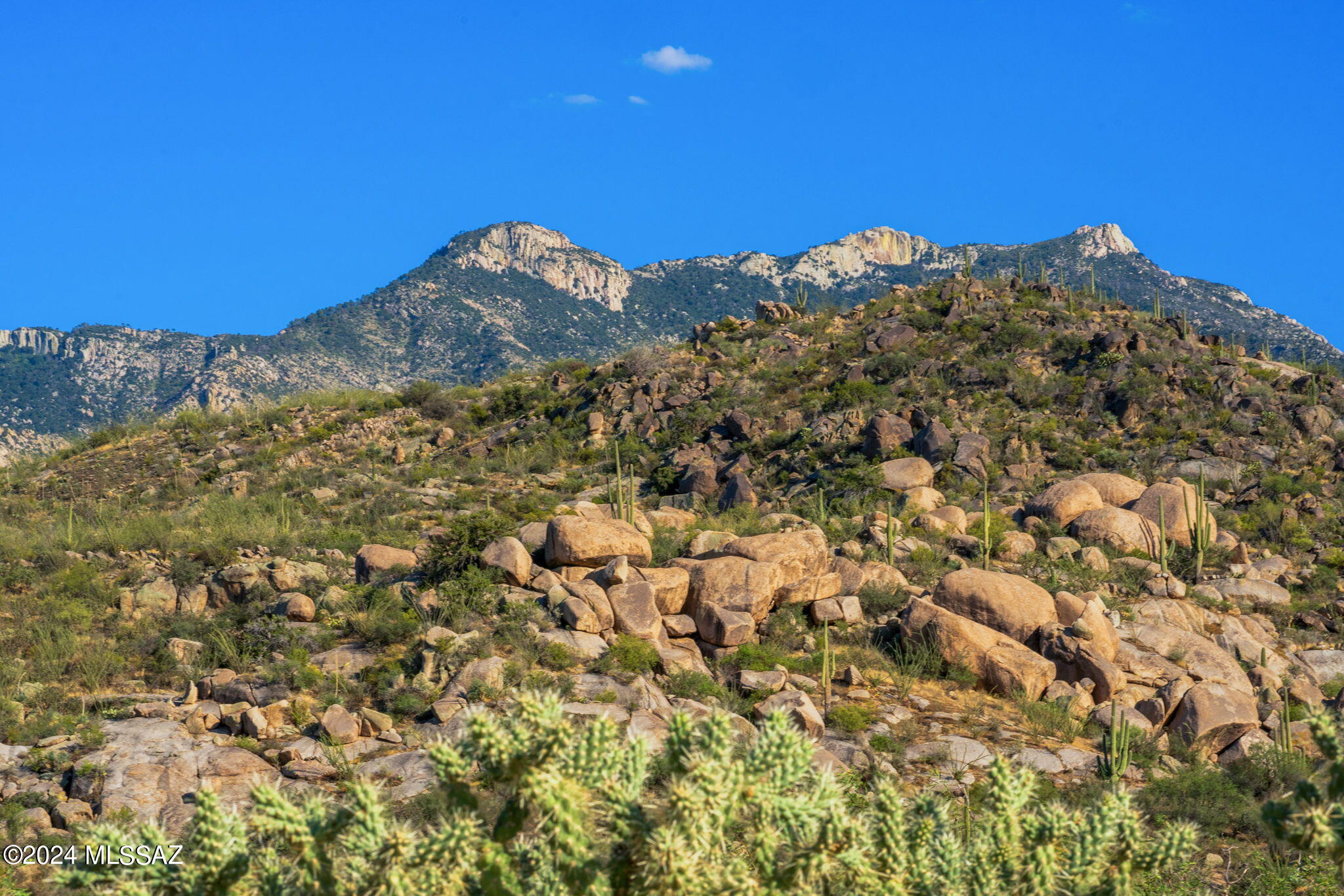 16500 North Ridge Rock Trail Tucson, AZ 85739 - Photo 15 of 29 11-web-or-mls-16500 N Ridge Rock Trail -