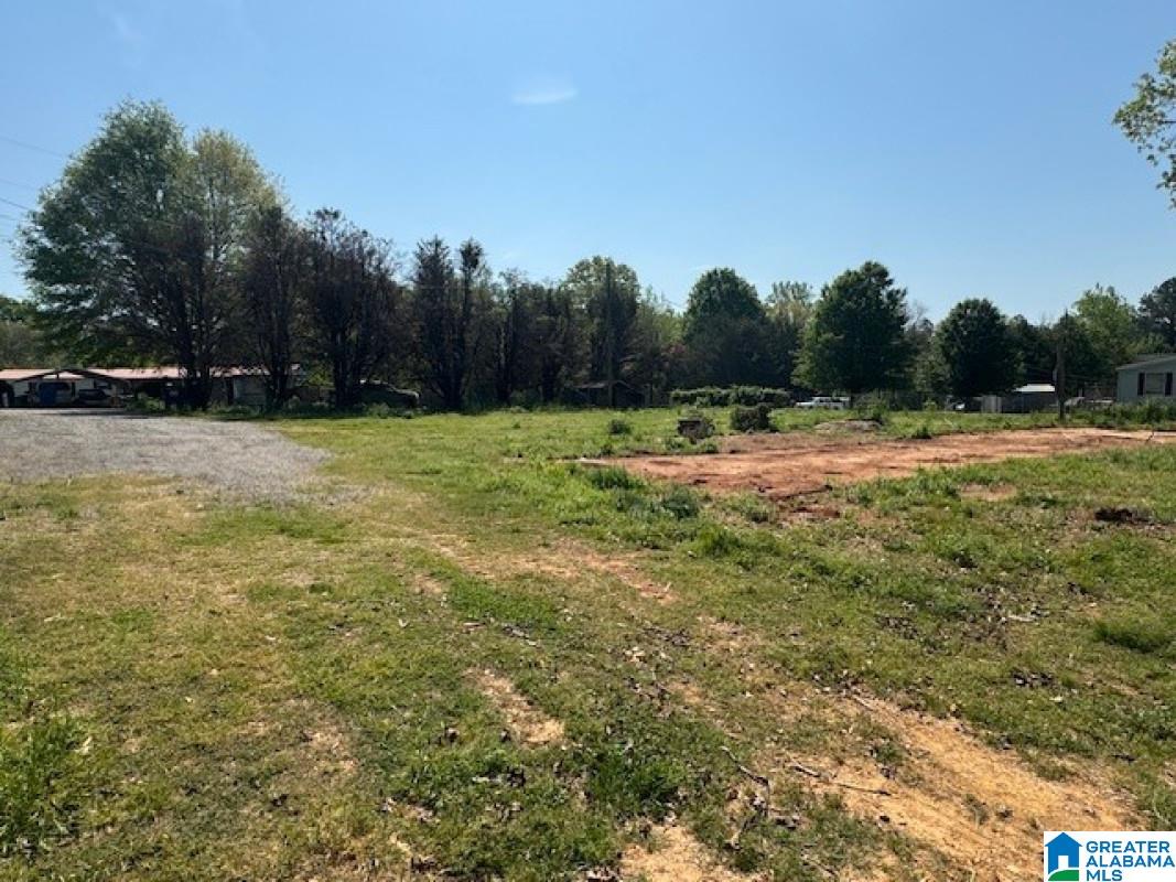 270 Double Oak Road Warrior, AL 35180 - Photo 5 of 5