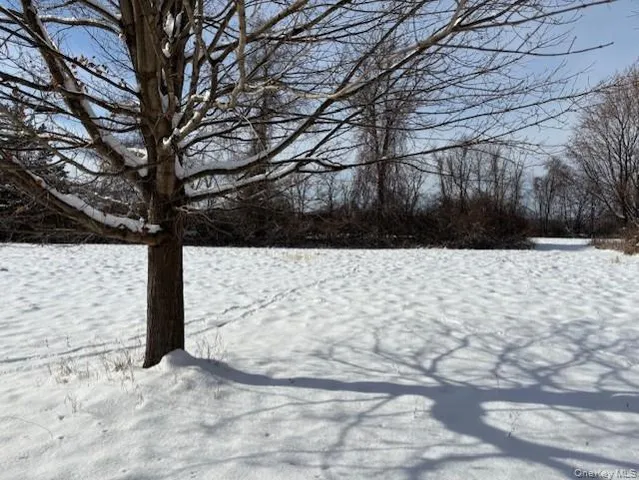 a view of a yard covered with snow