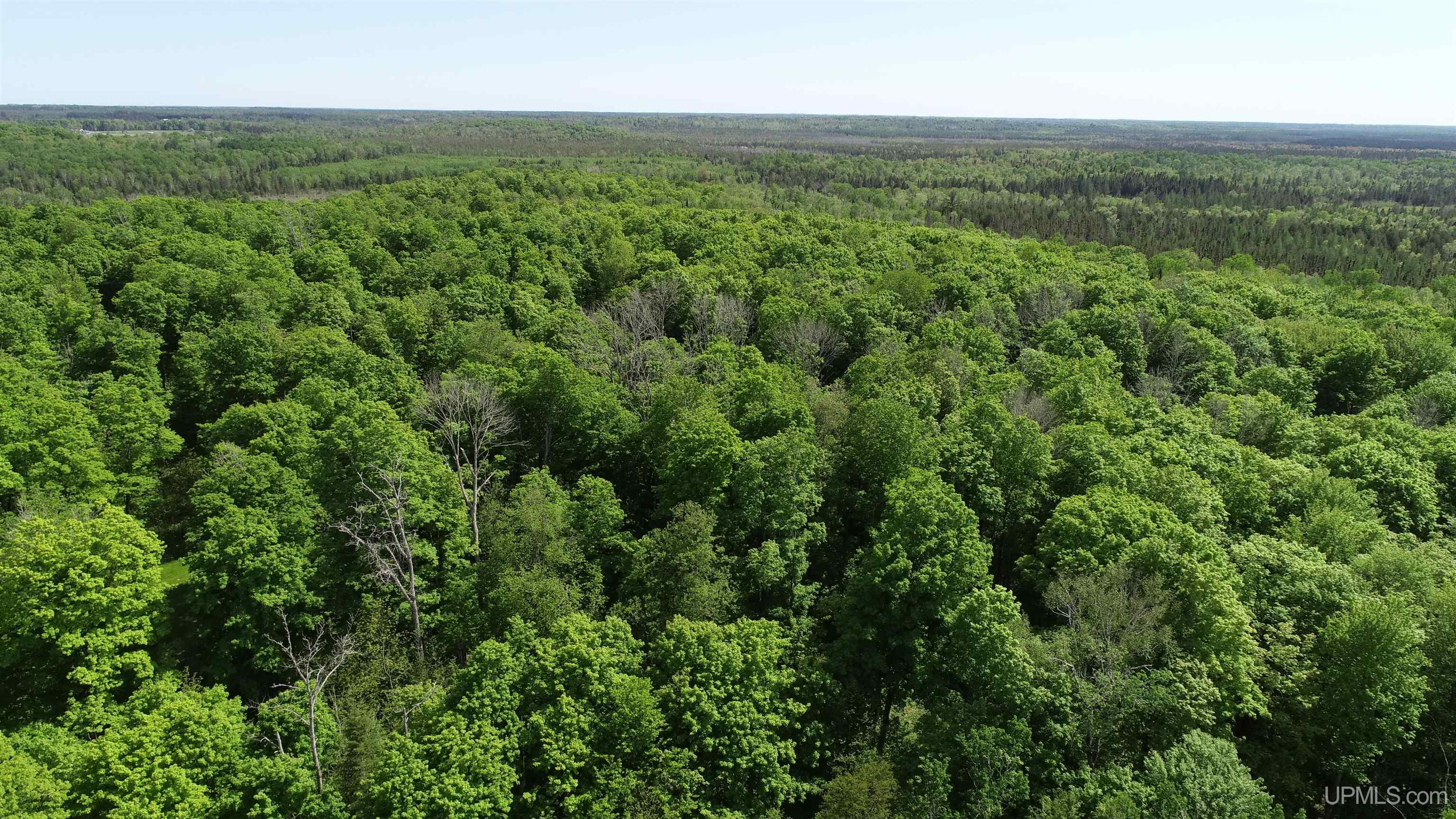 Tbd Tbd Banking Ground Road Germfask, MI 49836 - Photo 6 of 36