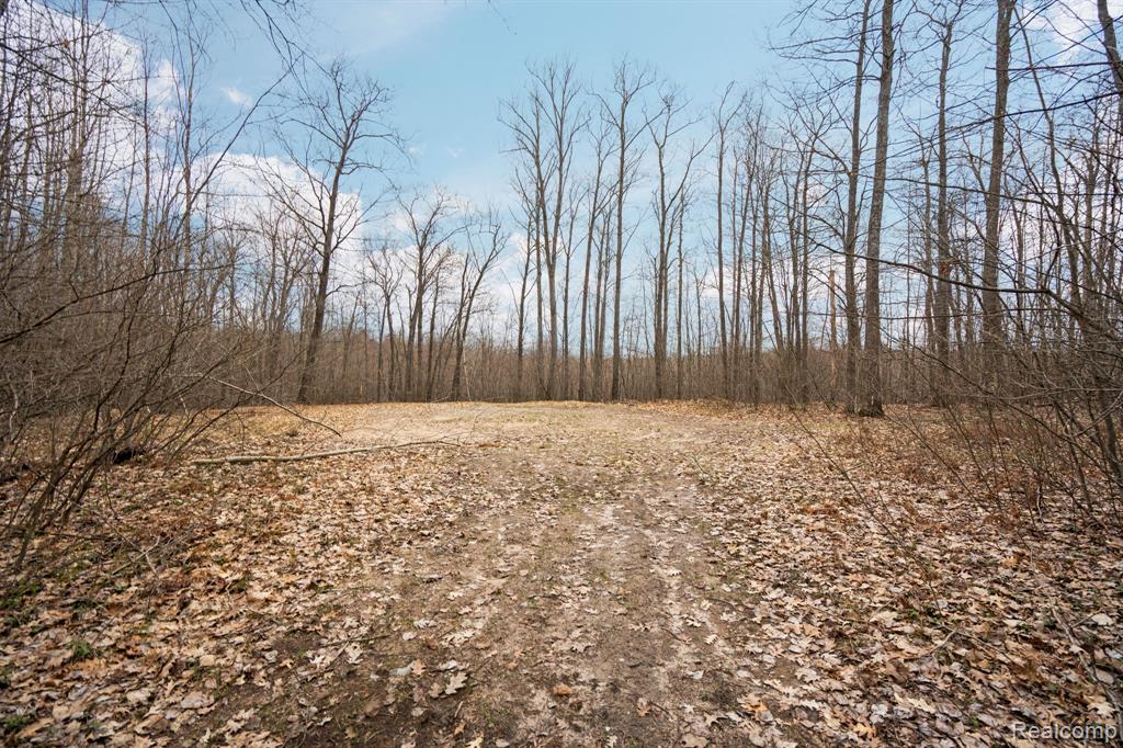 0 North Fairview Road West Branch, MI 48661 - Photo 12 of 14