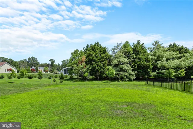 a view of a grassy field with trees