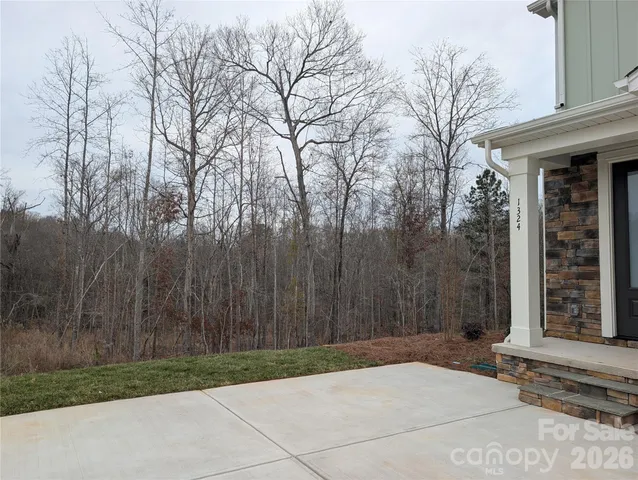 a view of backyard with green space