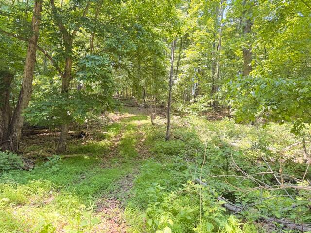 0 Country Club Road Troutville, VA 24175 - Photo 12 of 18 a view of yard