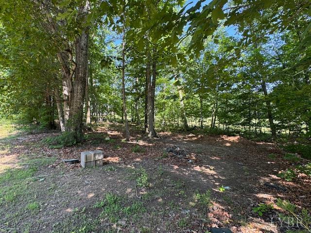 7447 Red House Road Appomattox, VA 24522 - Photo 3 of 9