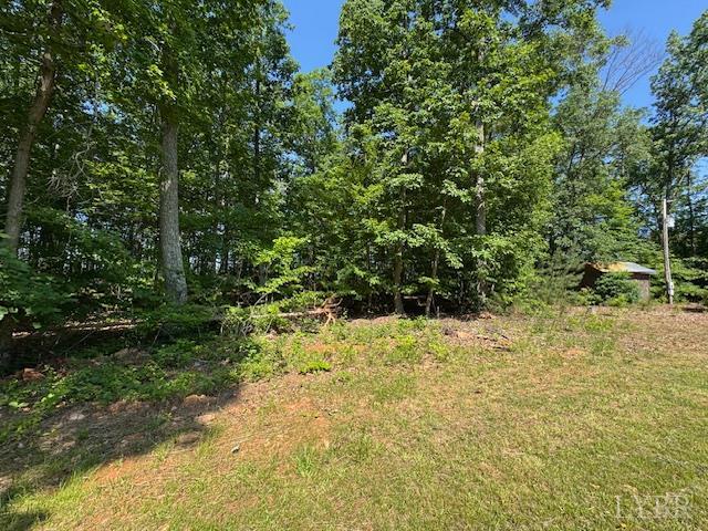 7447 Red House Road Appomattox, VA 24522 - Photo 6 of 9