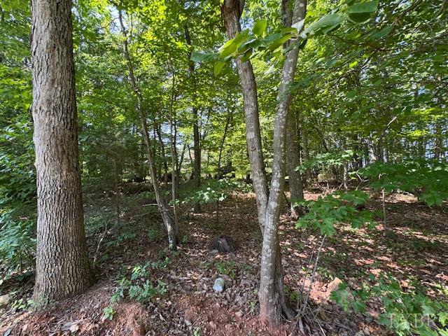 7447 Red House Road Appomattox, VA 24522 - Photo 8 of 9