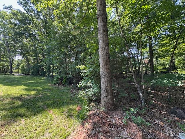 7447 Red House Road Appomattox, VA 24522 - Photo 9 of 9