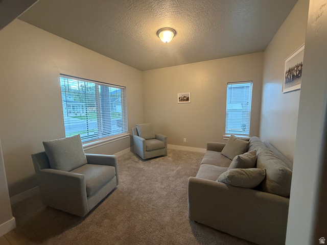 437 North 650 E Street Springville, UT 84663 - Photo 6 of 11 Carpeted room featuring neutral wall tones and a window with blinds
