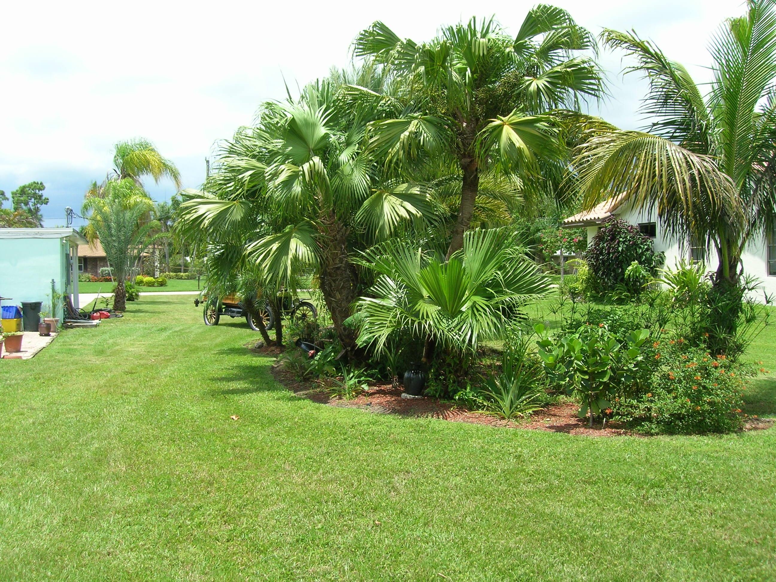 87 Barberton Road Lake Worth, FL 33467 - Photo 4 of 14 006