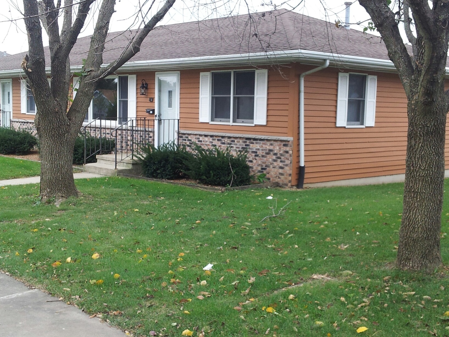 423 West 2nd Place Spring Valley, IL 61362 - Photo 2 of 9