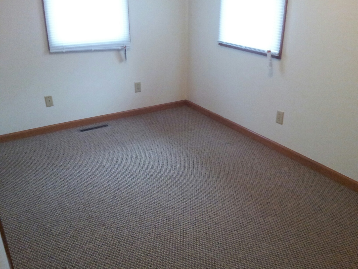 423 West 2nd Place Spring Valley, IL 61362 - Photo 8 of 9