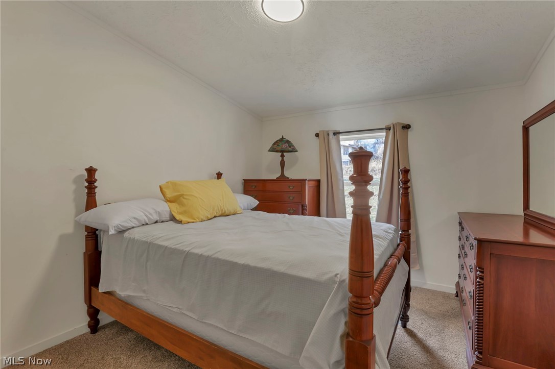 3750 Cannelville Road Roseville, OH 43777 - Photo 9 of 33 Carpeted bedroom featuring ornamental molding and a textured ceiling