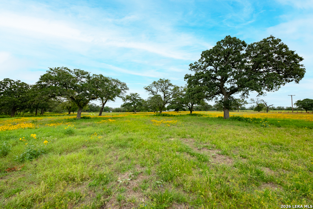 104 Longhorn Road Stockdale, TX 78160 - Photo 23 of 47 a view of yard with green space