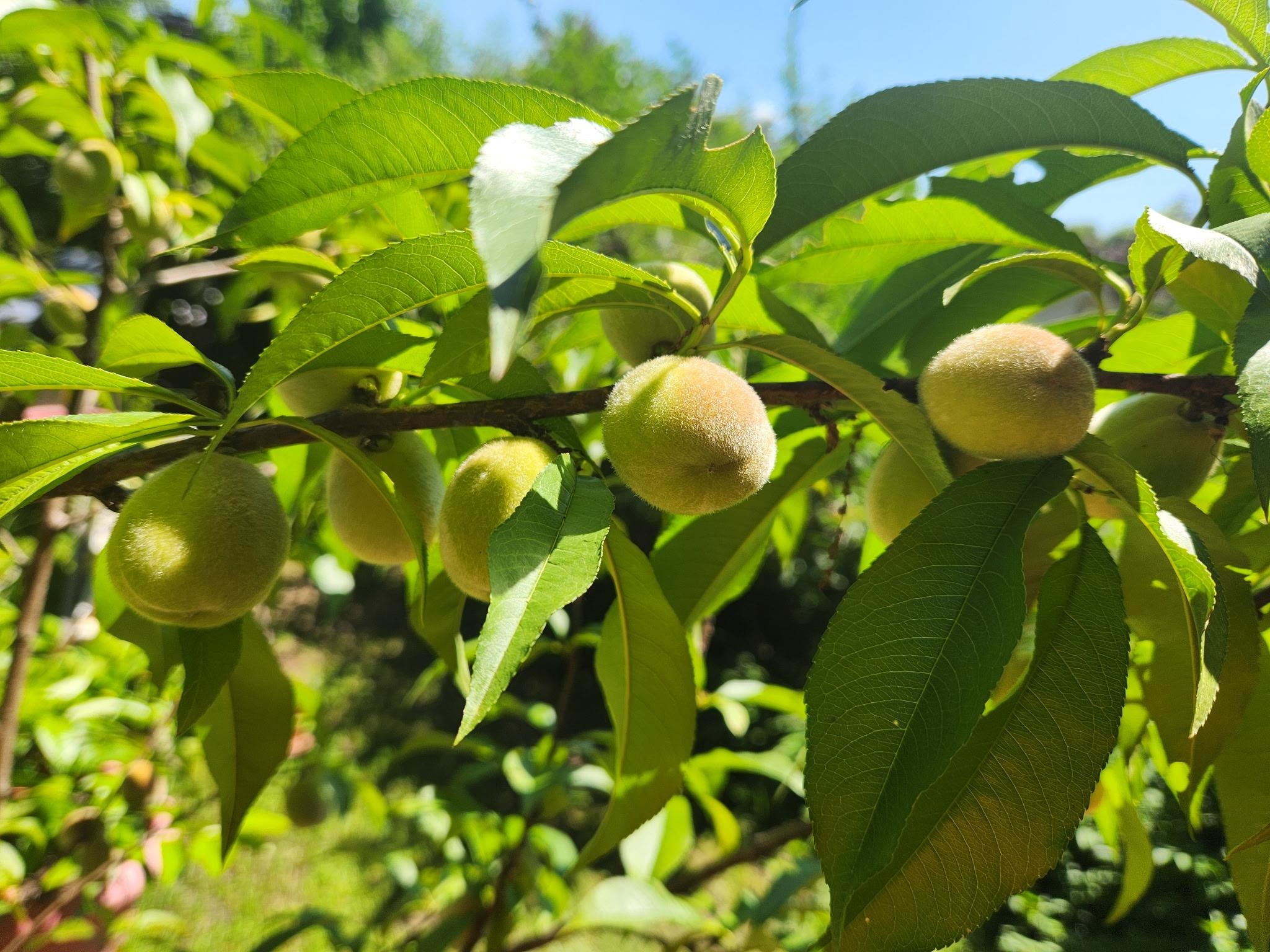 63 Evergreen Lane Hopkinton, NH 03229 - Photo 19 of 19