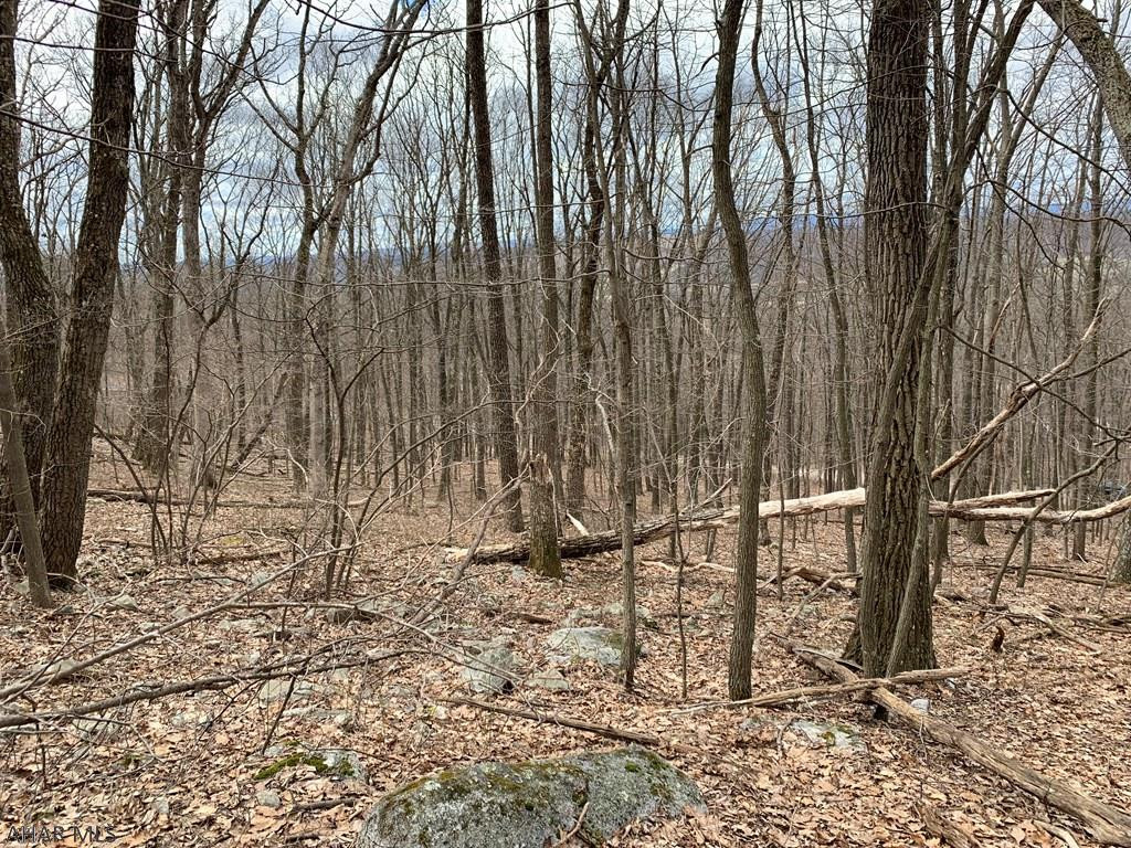 Lot 5 Monroe Mountain Road Clearville, PA 15535 - Photo 23 of 31 Gallery Image 23