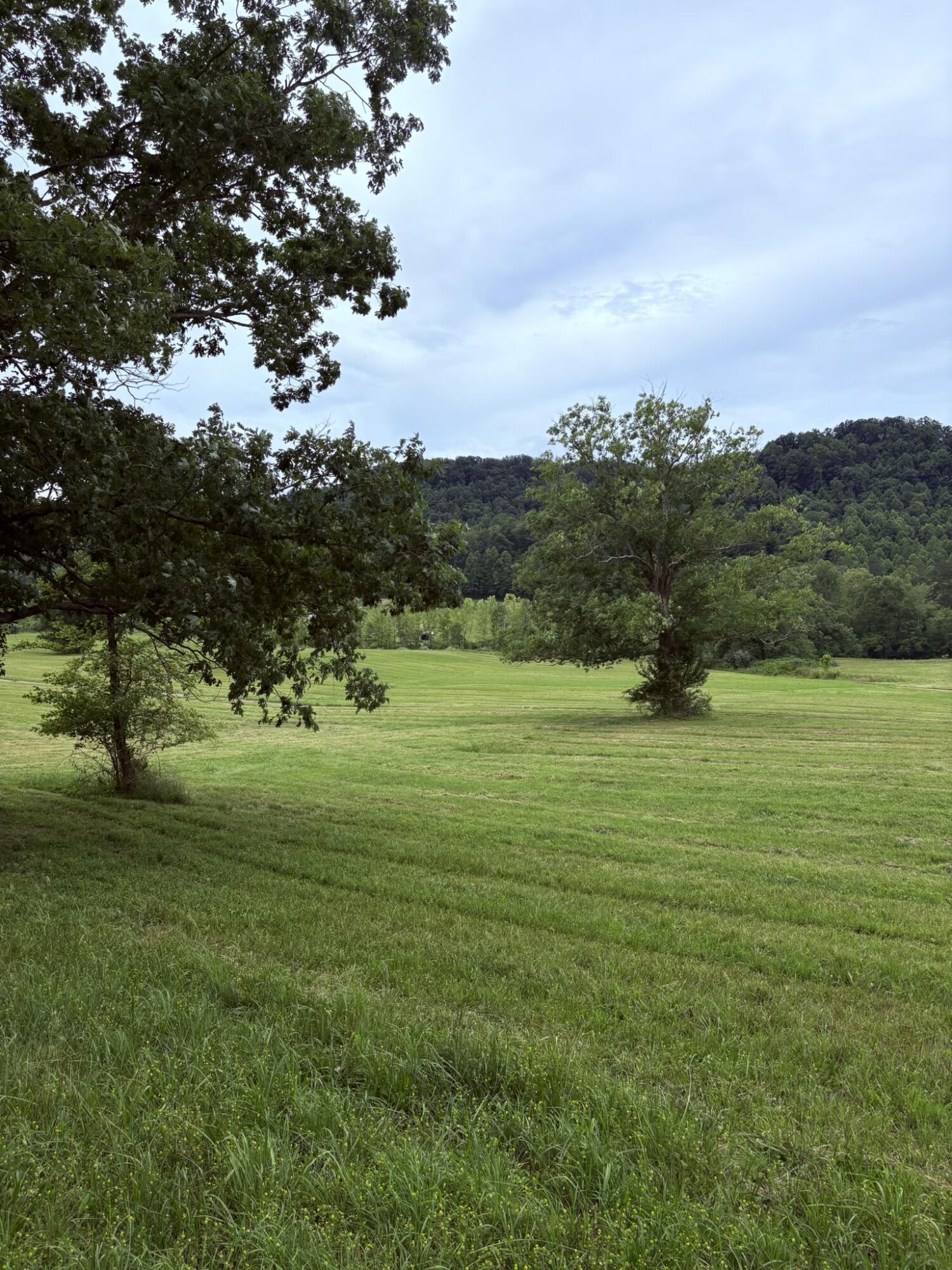 400 Clearfork Road Morehead, KY 40351 - Photo 70 of 72 IMG_0661