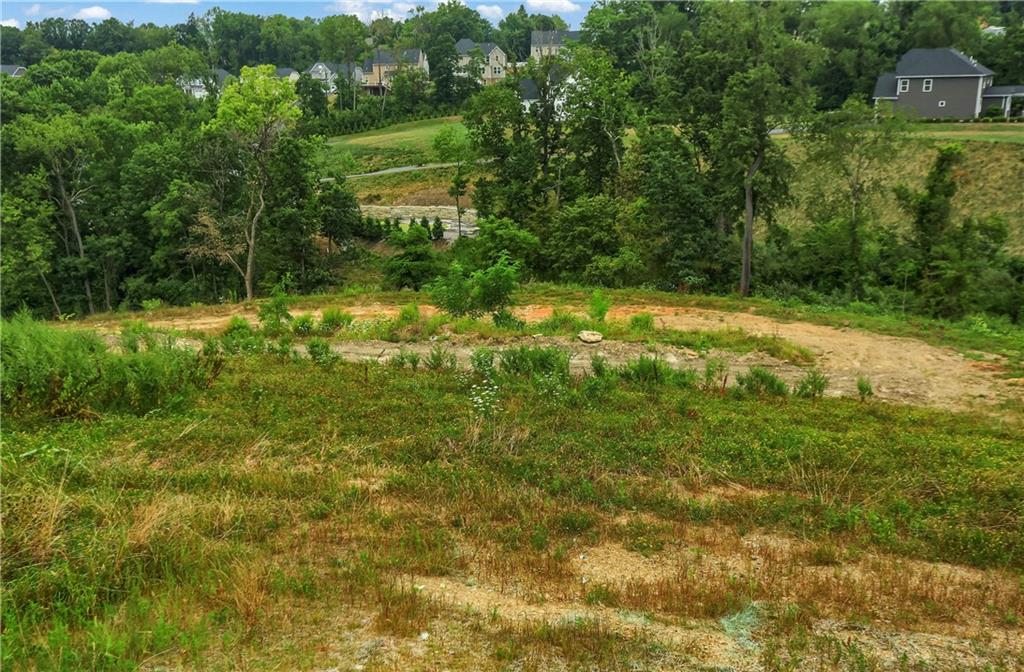 Lot 7 Beaver Grade Road McKees Rocks, PA 15136 - Photo 9 of 13 a view of a yard with plants and large trees