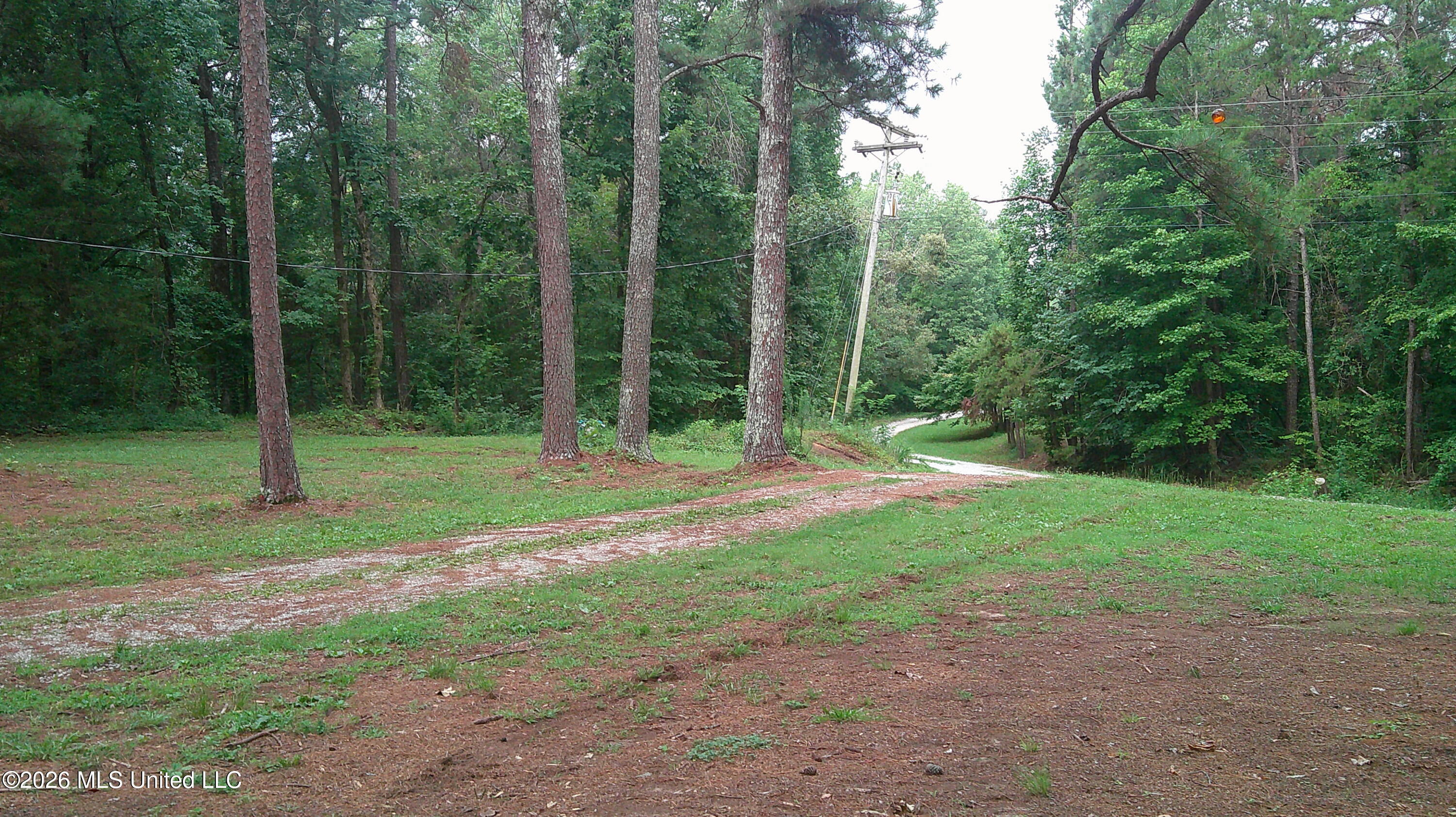 4580 County Road 701 Ripley, MS 38663 - Photo 2 of 30 DSCF0493