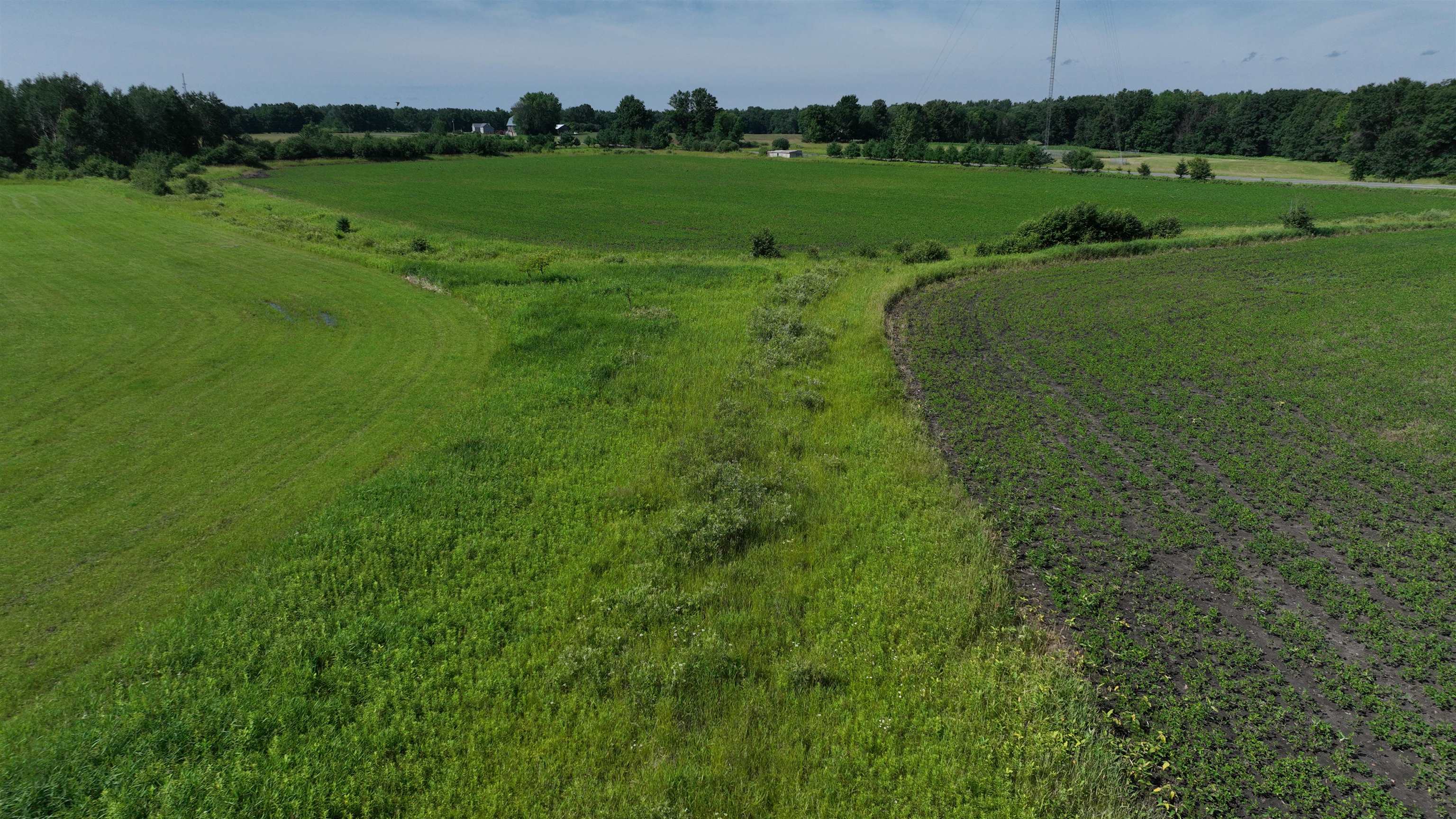 38.85-ac County Road East Pittsville, WI 54466 - Photo 44 of 50