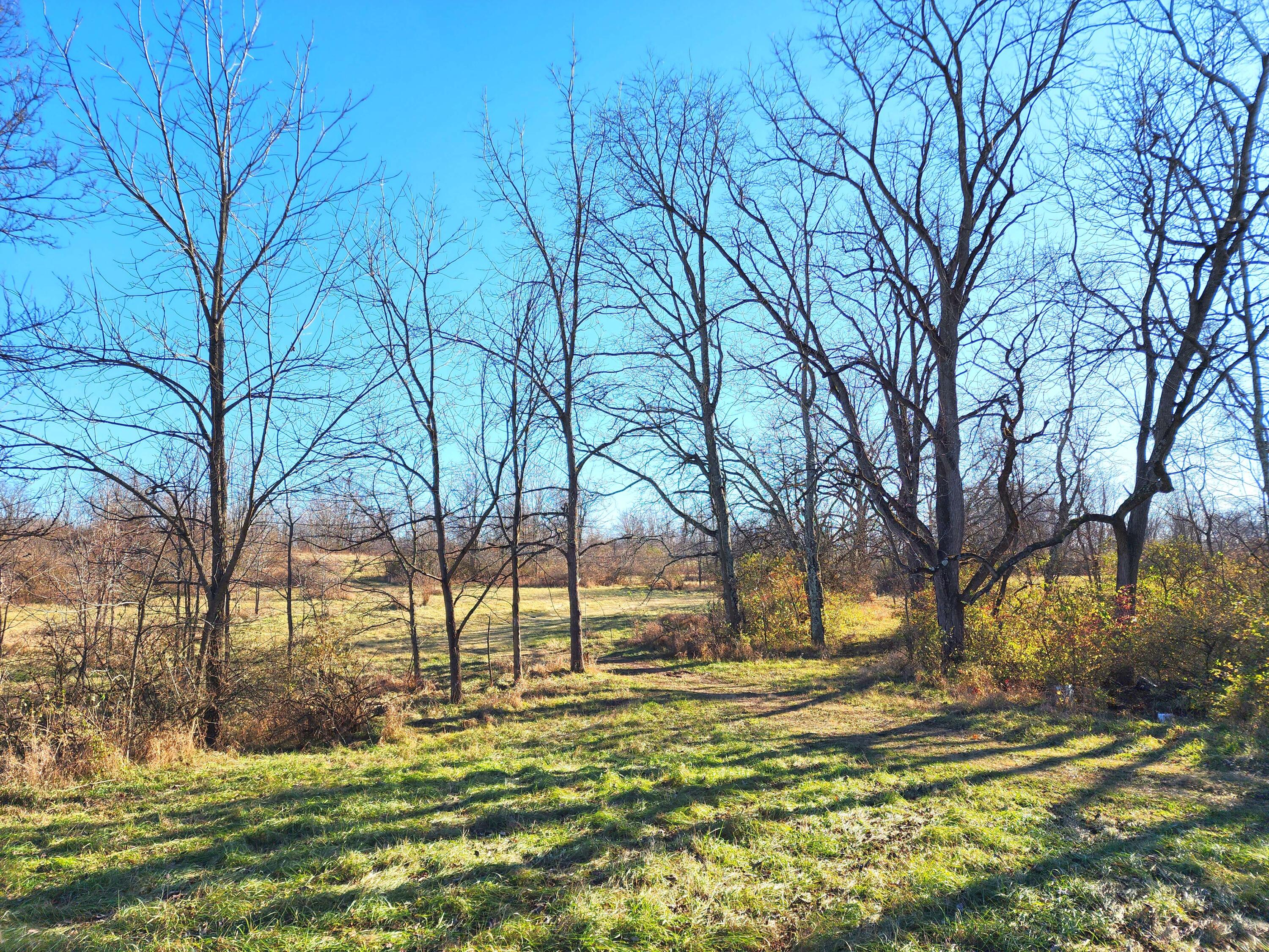 3670 Old Columbus Road Springfield, OH 45503 - Photo 40 of 64