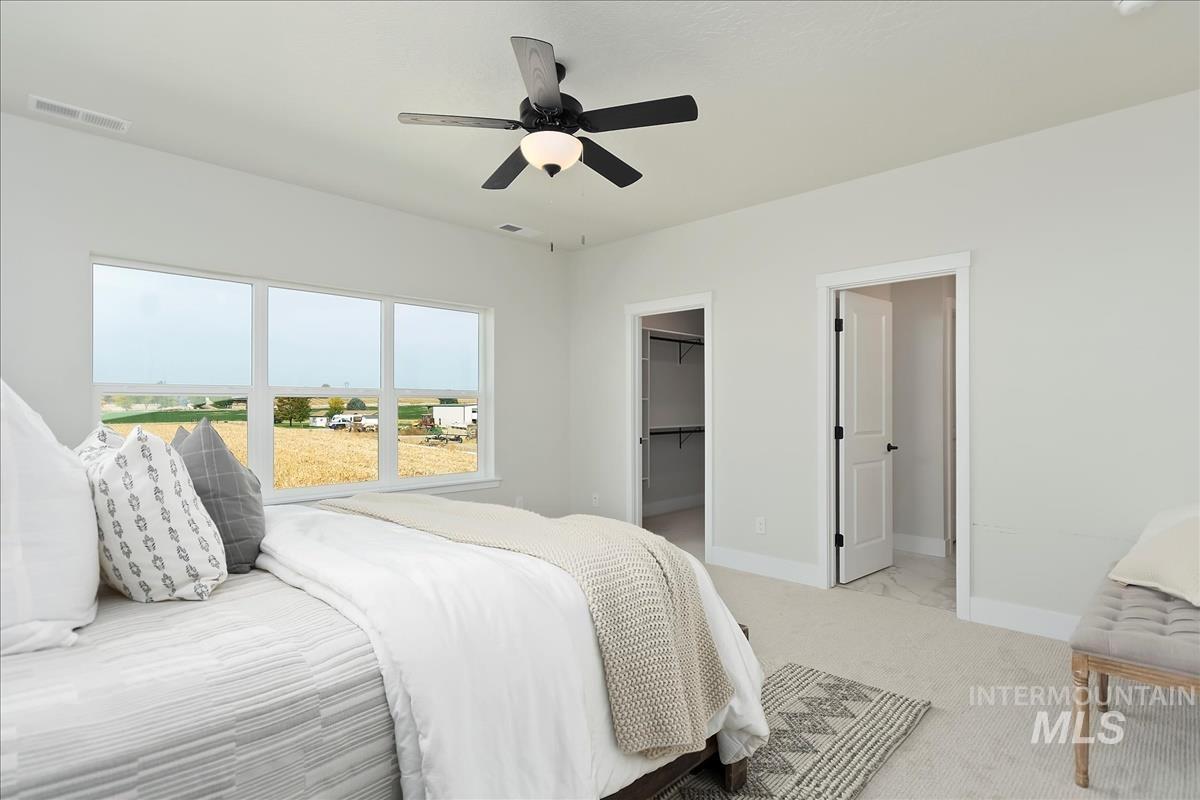2702 West Gidran Meridian, ID 83642 - Photo 19 of 30 Carpeted bedroom featuring a spacious closet and ceiling fan