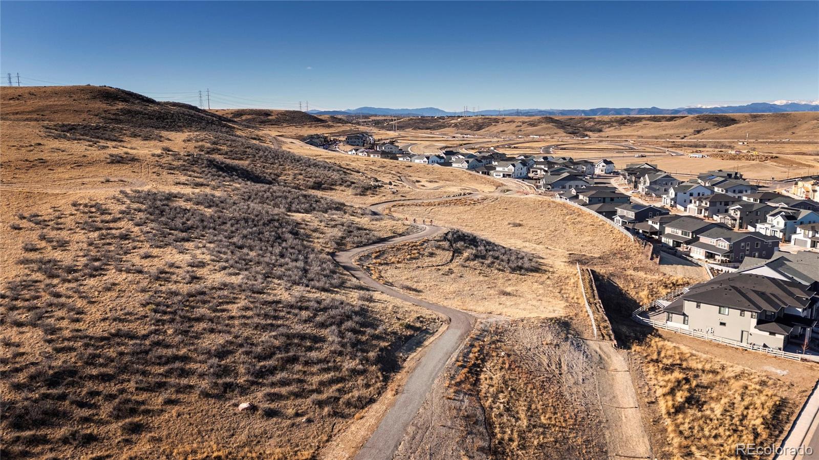 12015 Verse Road Lone Tree, CO 80134 - Photo 45 of 46