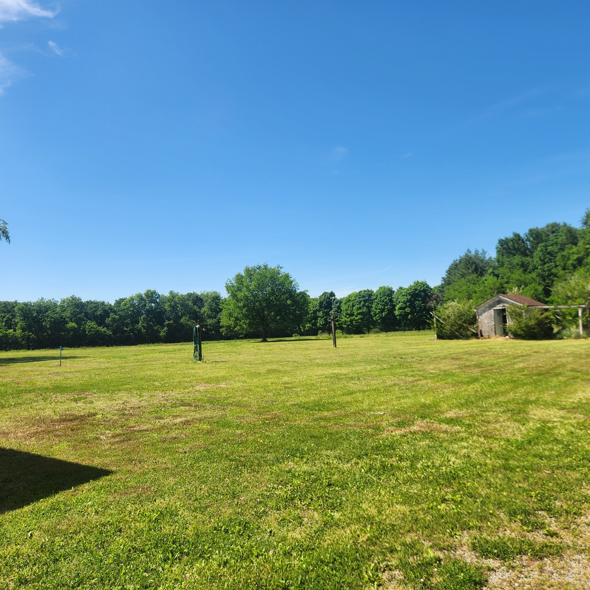 4774 Boyd Holland Road Springfield, TN 37172 - Photo 6 of 22