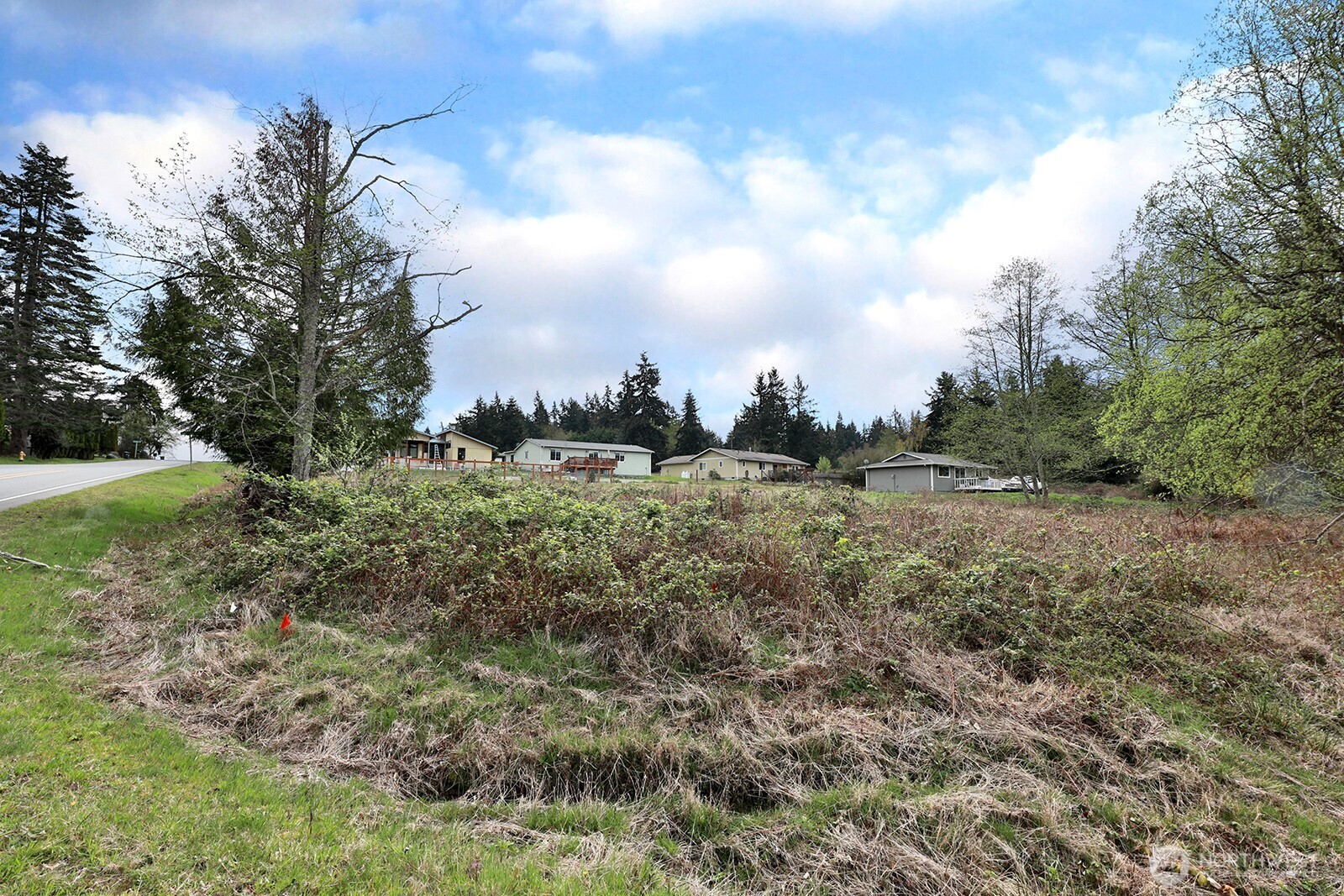 85 Skyview Drive Clinton, WA 98236 - Photo 12 of 26 a view of a green field with lots of bushes