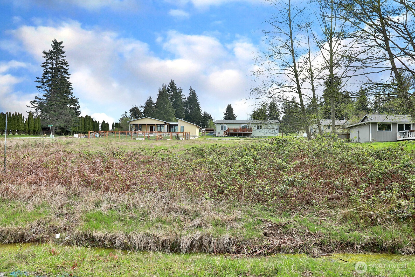 85 Skyview Drive Clinton, WA 98236 - Photo 13 of 26 a view of a yard with an trees