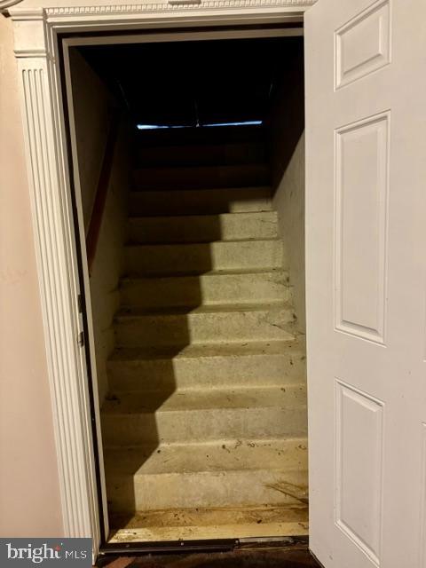 627 Dr Miller Road North East, MD 21901 - Photo 64 of 77 Lower Level Walk Up Bilco Doors