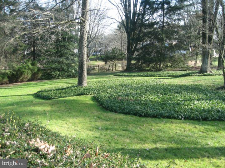 1024 Tenby Road Berwyn, PA 19312 - Photo 16 of 23 Back Yard