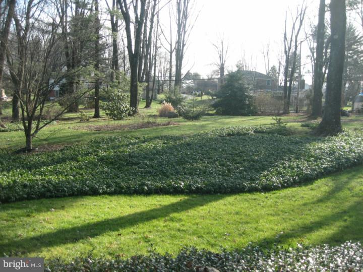 1024 Tenby Road Berwyn, PA 19312 - Photo 17 of 23 Back Yard