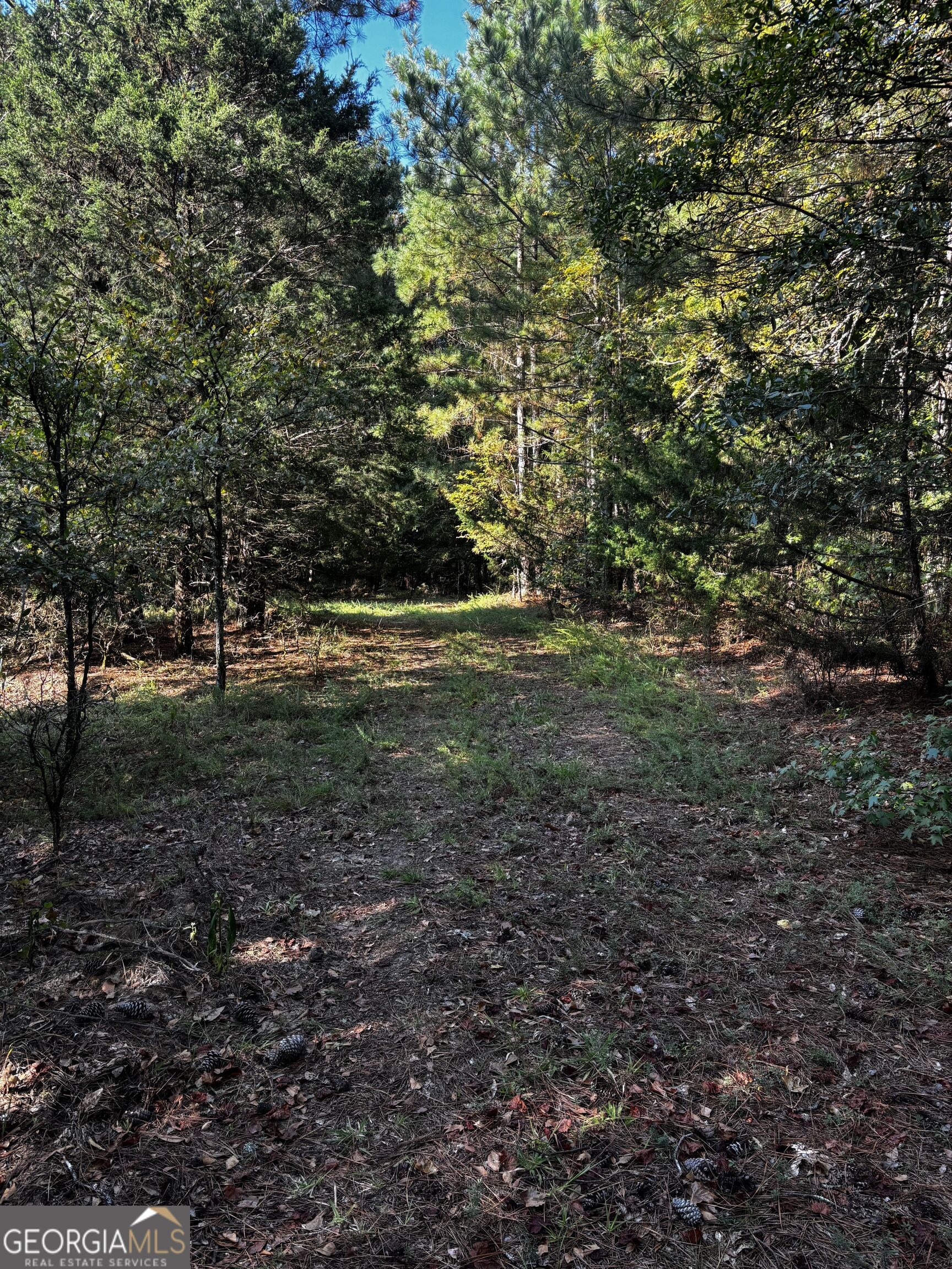 2807 Cedar Creek Road Elberton, GA 30635 - Photo 26 of 40 Gallery Image 26