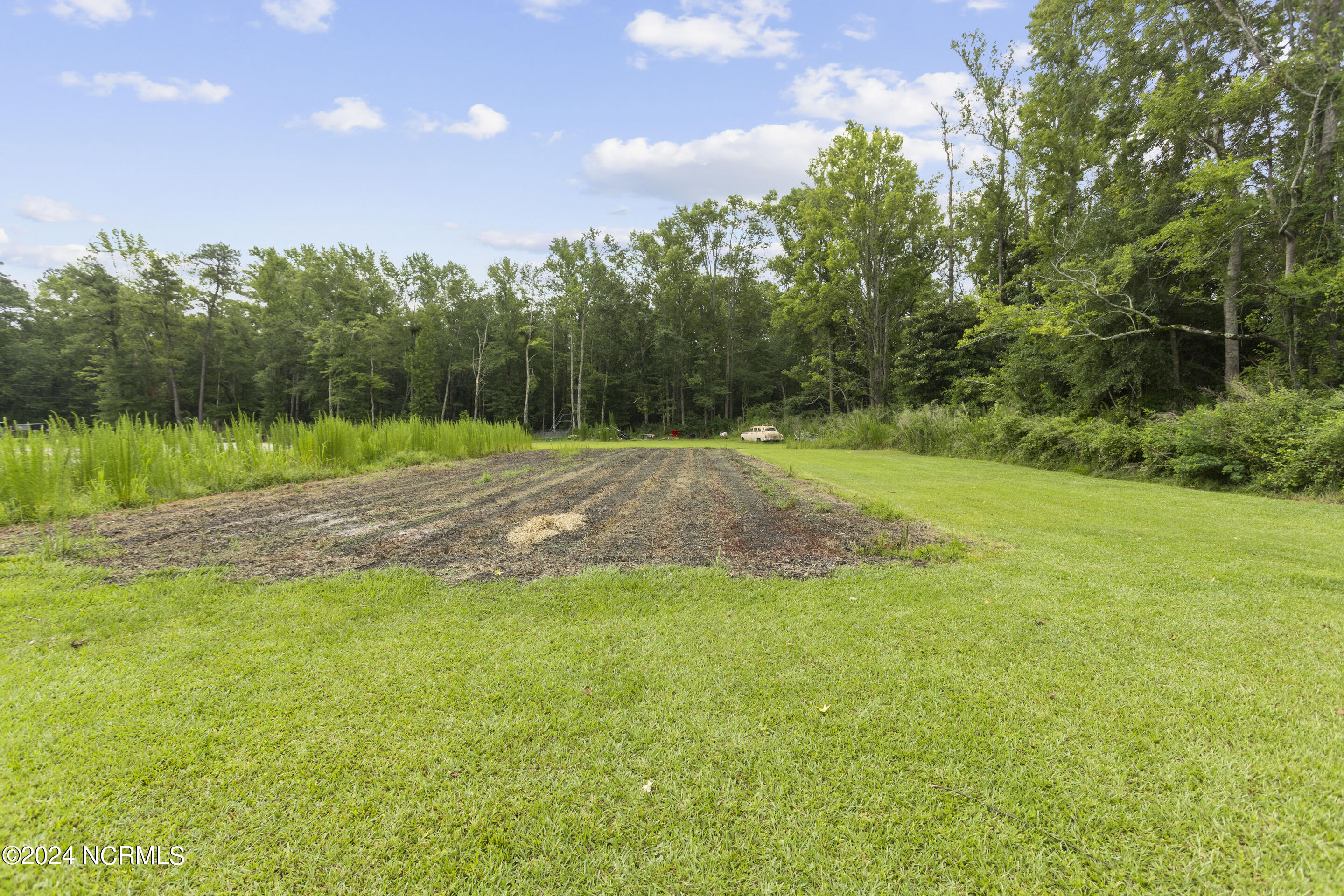 4222 Castle Hayne Road Castle Hayne, NC 28429 - Photo 46 of 52 2 acres!- Future garden